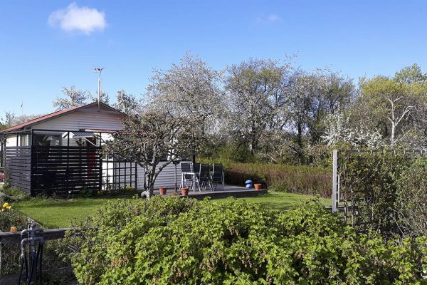 Odlingsinspiration till kolonilotten